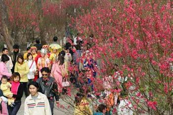 桃花岛游人如织