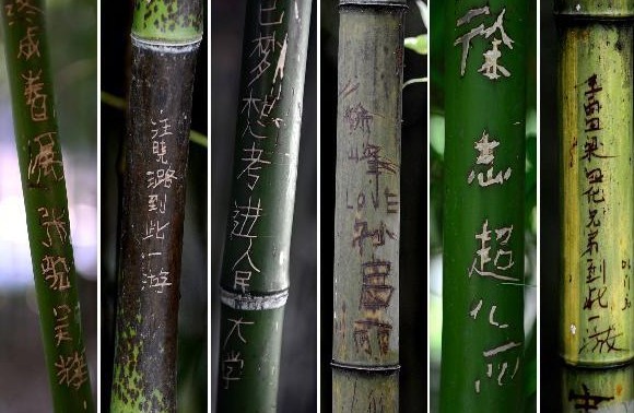 不文明的旅游行为 刻字