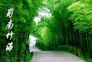 蜀南竹海