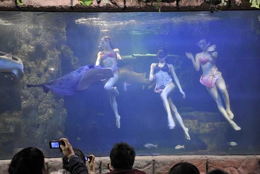 ������������