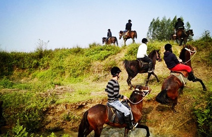 ������������