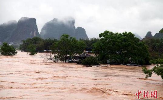 被洪水淹没的大榕树景区