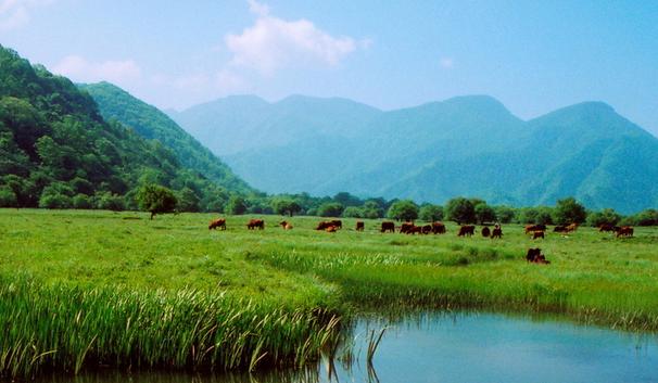 国内暑期避暑的好去处推荐 - 南宁中国青年旅行