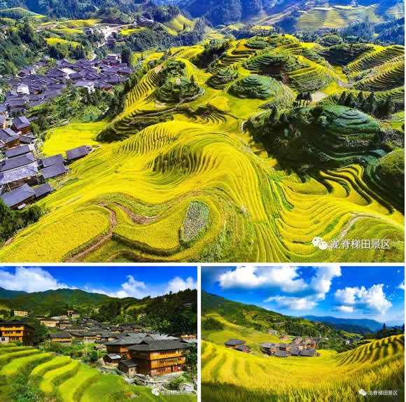 2018年9月23日   地点:龙脊梯田景区——小寨村   "金秋节"是